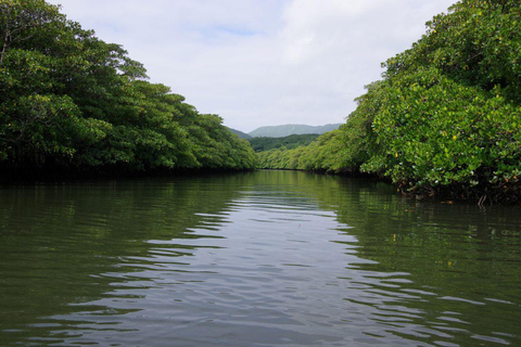 Kanazawa: With paddle let’s discover your own kayak journey