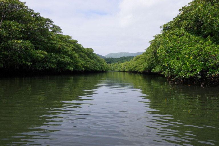 Kanazawa: With paddle let’s discover your own kayak journey