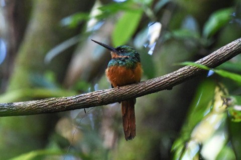 Parque Nacional de Carara: Mejor excursión Parque Nacional de Carara - Un día