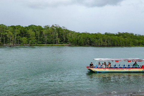 Manuel Antonio Mangrove Boat Tour