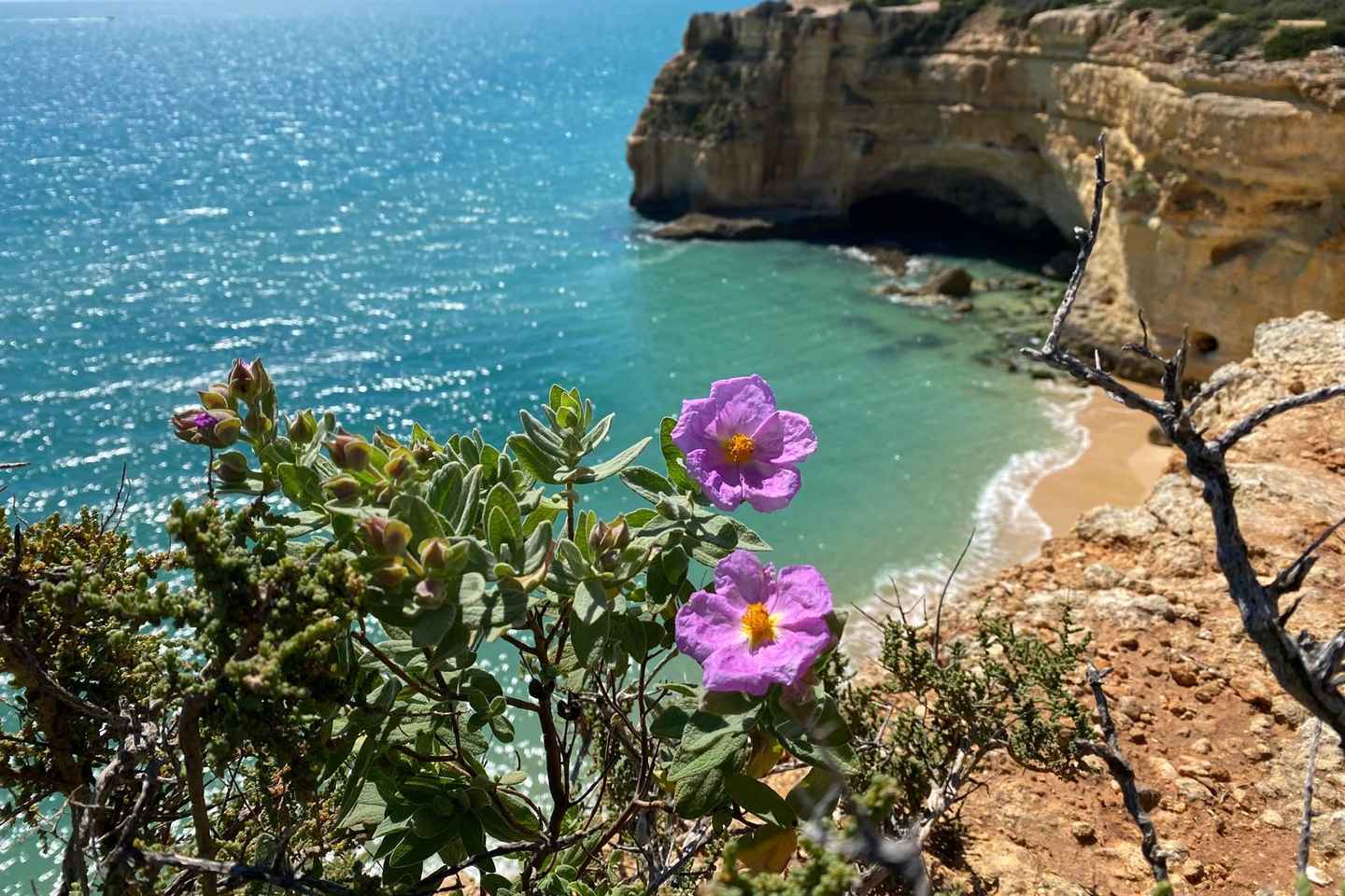 From Faro: Benagil Cave and Seven Hanging Valleys Trail Tour