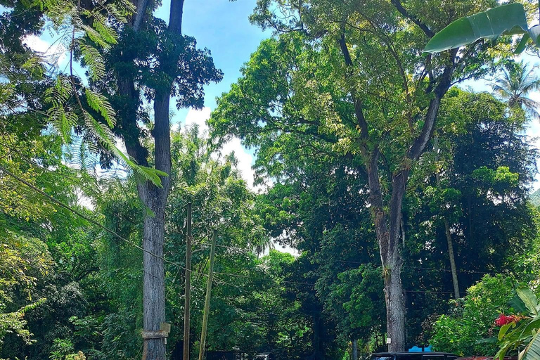 Santa Lúcia: Caminhada pela natureza e fuga do jardim botânico