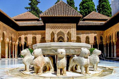 Granada: Alhambra & Nasrid Palaces Tour with Tickets Tour in Italian for 10 People