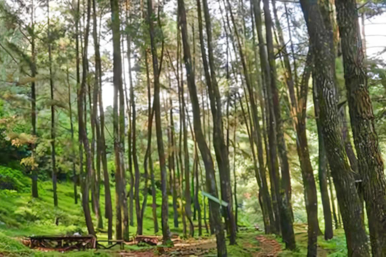 De Jacarta : Jardim Botânico, Cachoeiras, Vistas Naturais