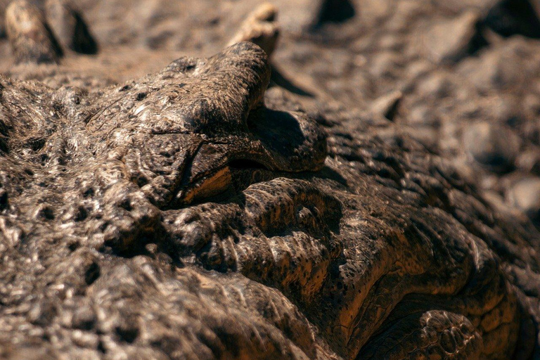 Sri Lanka: 6-Day Photography Tour with Hotel & Guide