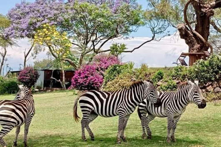 Nairobi: Crescent Island Sanctuary Day Trip with Lunch Nairobi: Crescent Island Sanctuary private day Trip