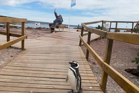 Punta Tombo Tour "Walking among Penguins".