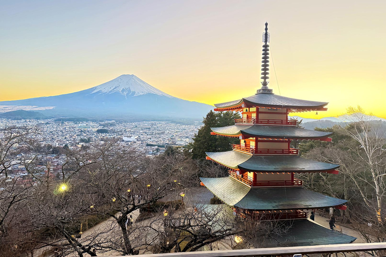 Mount Fuji Day Tour: Instagrammable Spots + Scenic Train From Tokyo (Including ropeway and cruise)