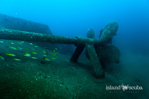 Colombo: Shipwreck Diving Experience within the city