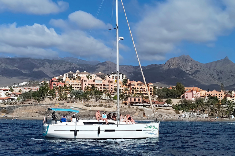 Boat Trip: Dolphin & Whale Watching Sailing Tour 11 Pax Max Boat Trip: Dolphin & Whale Watching Sailing Tour 11 Pax Max