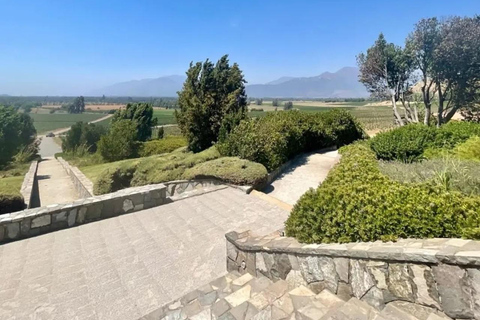 Viña Haras de Pirque Wine Experience