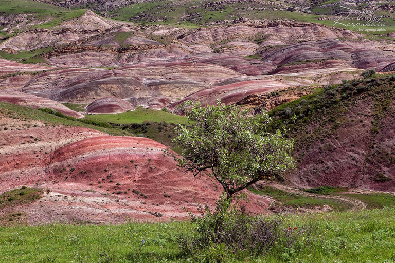 Rainbow Mountains, Davit Gareji Monastery Complex..