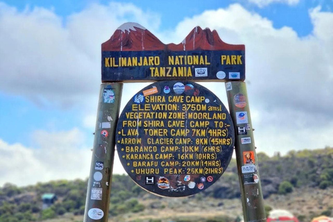 KILIMANJARO : Randonnée d&#039;une journée sur le plateau de Shira du Kilimandjaro