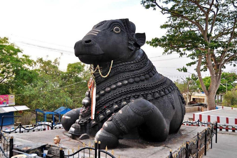 Depuis Bangalore : Visite privée du parc Bannerghatta et des curiosités de la ville