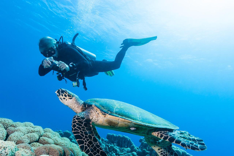 Hurghada: Scuba Diving for Certified Divers & Beginners Boat trip for the Certified Divers with Lunch & Transfer