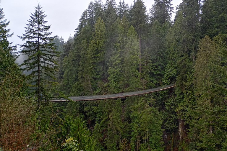 Vancouver Capilano Bridge,Stanley Park,City/CAR/Small Group