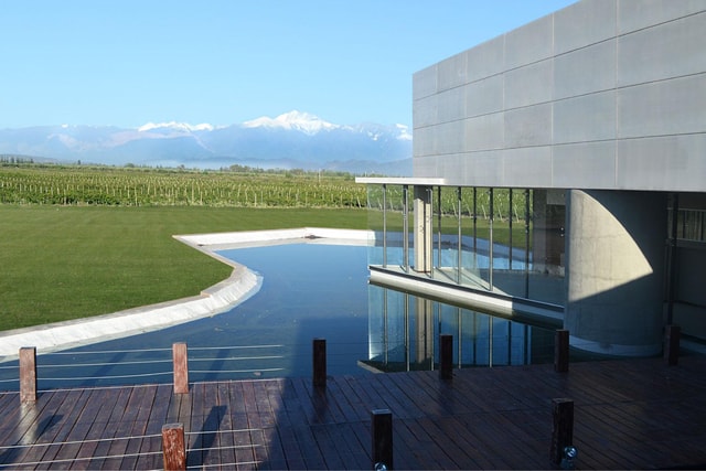 Maipú: Wine and Olive Oil Tour with Gourmet Lunch