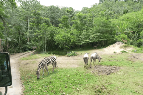 Cebu Safari: Experience Wildlife Up Close