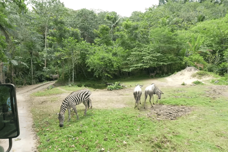 Cebu Safari: Experience Wildlife Up Close