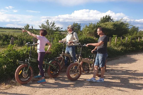 Aigues Mortes: safari en vélo - Recorrido en bicicleta eléctrica por la CamargaSafari en vélo électrique - Ebike tour en Camargue