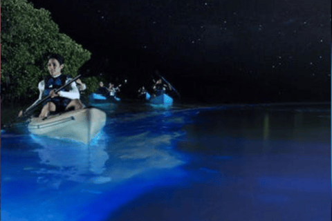 Orlando: Bioluminescenza chiara in kayak o in paddleboardTour della bioluminescenza chiara in kayak o paddleboard