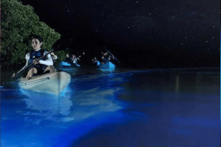 Orlando: Bioluminescenza chiara in kayak o in paddleboardTour della bioluminescenza chiara in kayak o paddleboard