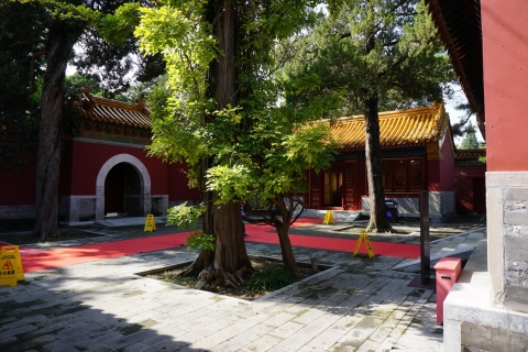 Beijing: Panda House+City Attractions or Mutianyu Day Tour Panda House+Mutianyu Great Wall Private Day Tour