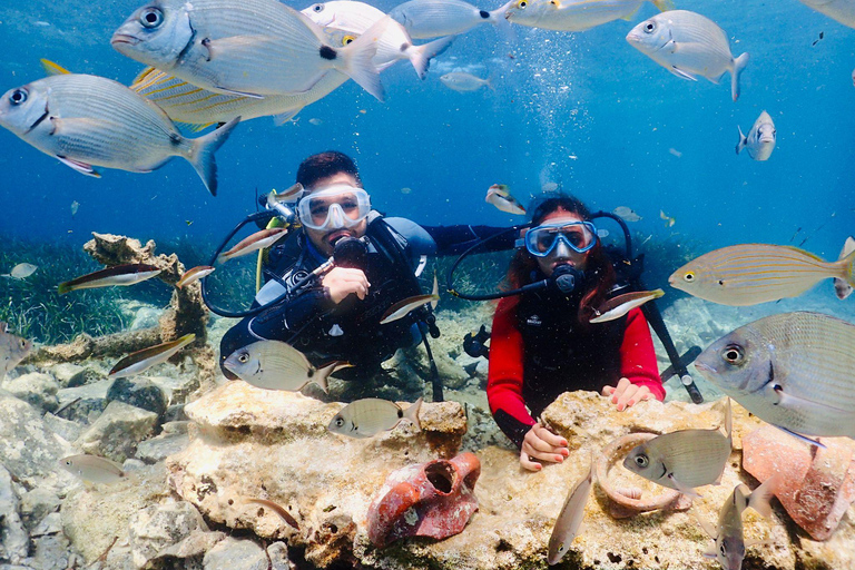 Kusadasi: Scuba Diving for Beginner or Expert Diver w/ Lunch Reef Diving Option ( 40 Minutes )