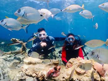 Kusadasi: Diving Experience with Lunch and Transfer