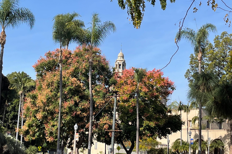 5-stündige private Tour durch San Diego in einem Lexus ES300H