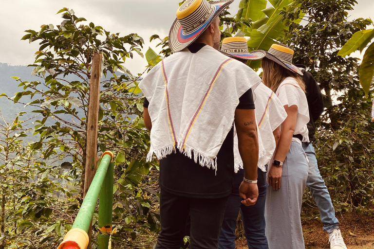 The Incredible Coffee Experience: Secrets of Medellín The Incredible Coffee Experience: Secrets of Medellin