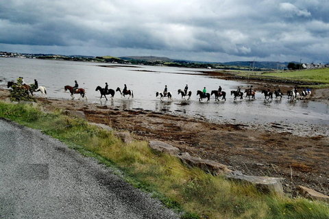 Westport: Begeleide paardrijtocht langs strand en platteland