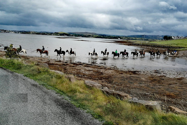 Westport: Begeleide paardrijtocht langs strand en platteland