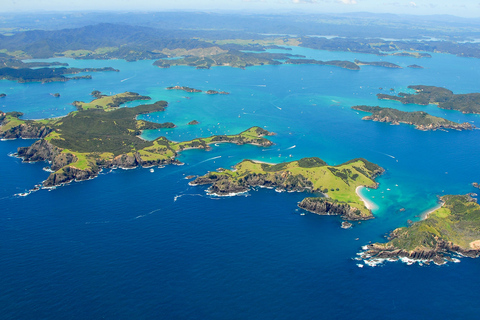 Vanuit Auckland: Dagvullende tour naar de Bay of Islands