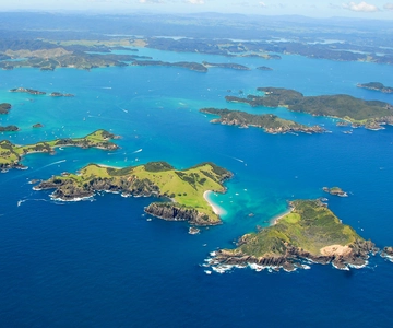 From Auckland: Full-Day Tour to the Bay of Islands