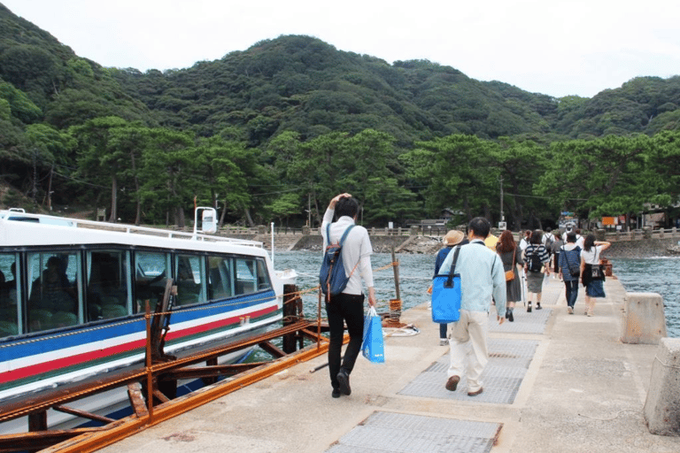 Osaka/Kyoto: Mount Koya &amp; Wakayama Privat dagsutflykt med guideRundresa från Osaka