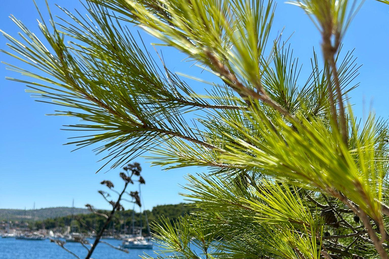 Blue lagoon with a speed boat water and towels included Blue lagoon with a speed boat, water & wine