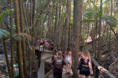 From Rainbow Beach: Small-Group K'gari (Fraser Island) Tour K'gari (Fraser Island) Full-Day Tour From Rainbow Beach