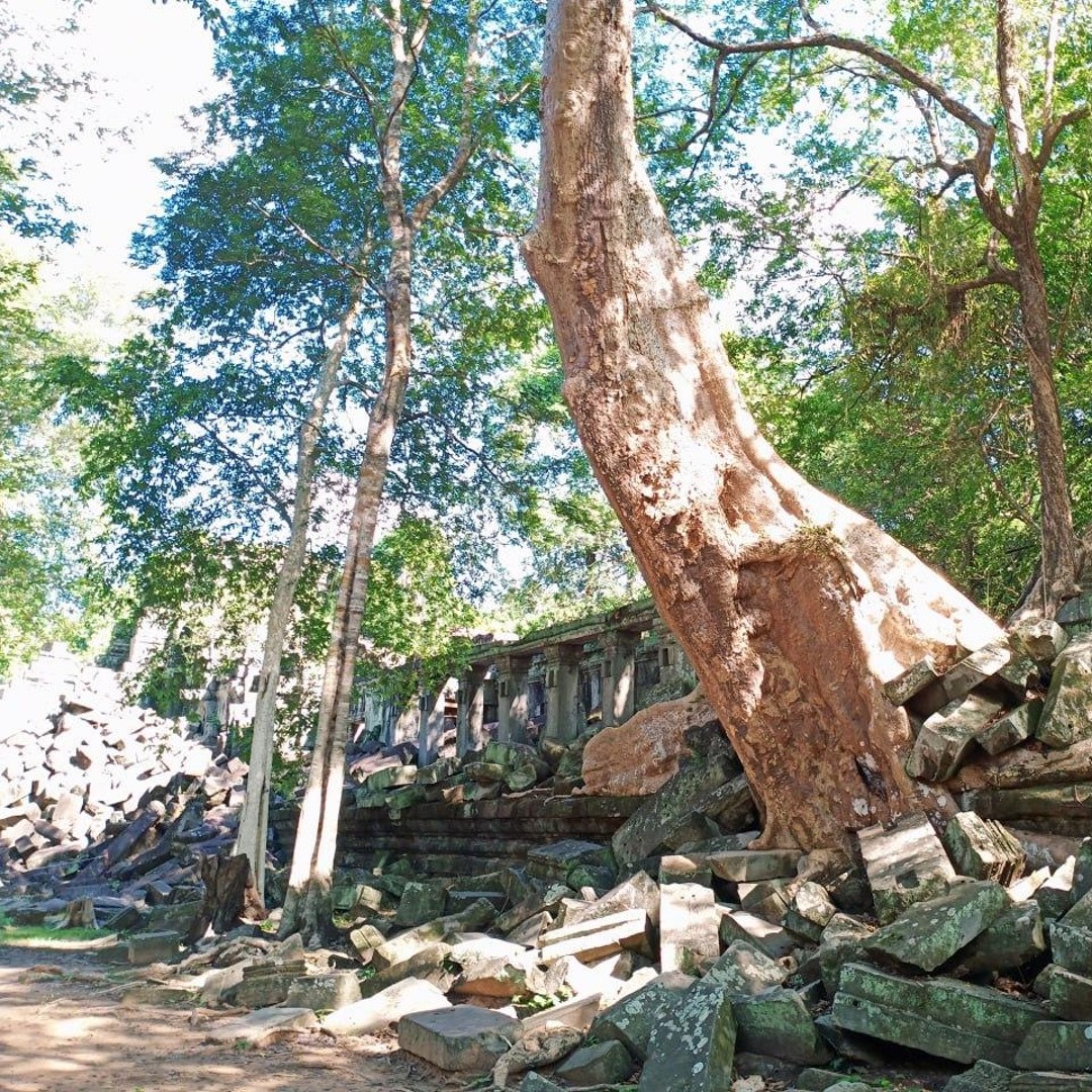 Colagem de mídia