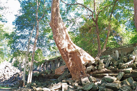 From Siem Reap: Beng Mealea and Koh Ker Temple Day Trip