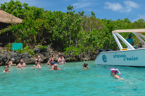 5 Eilanden Tochten : Dolfijnen kijken,Snorkelen,BbqPrivétour met speedboot op 5 eilanden