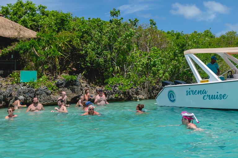 5 Eilanden Tochten : Dolfijnen kijken,Snorkelen,BbqPrivétour met speedboot op 5 eilanden