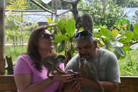 Puerto Plata: Monkey home, Damajagua Waterfalls & City Tour