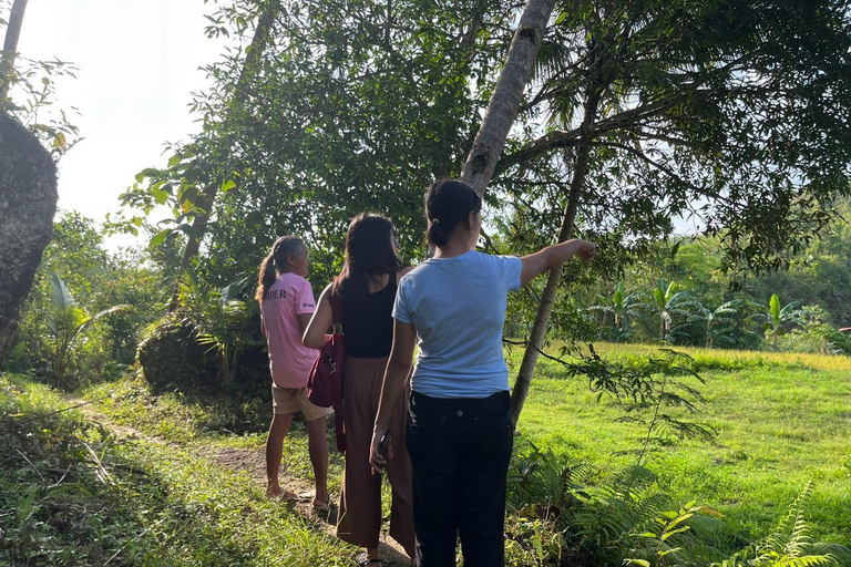 Bohol: Wasserfälle, Kajak, Wanderung durch die Hügel und private Tour zu den TarsiernBohol: Wasserfälle, Kajak, Wanderung durch die Hügel und private Tour zu den Tarsiers