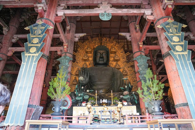 Excursión Privada de un Día a lo Más Destacado de Nara y Osaka