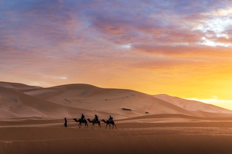 Desde Fez: Excursión de 4 días a Marrakech por el desiertoCampamento Estándar del Desierto