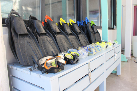 PADI Discover Scuba Diving (DSD) - beginners, Charaki Rhodes PADI DSD program 4 hours (2 dives) beginners, Charaki Rhodes