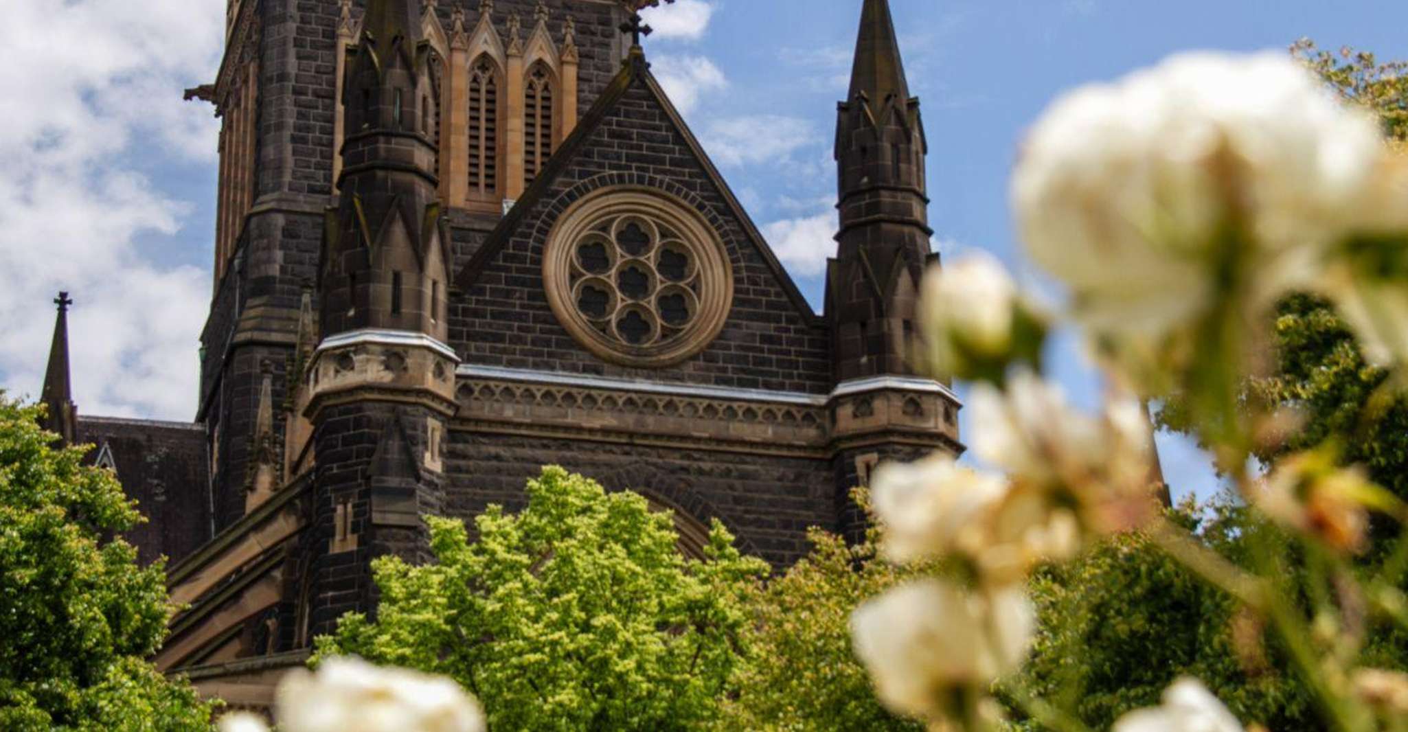 Melbourne: City Highlights Group Tour by Bus photo 9