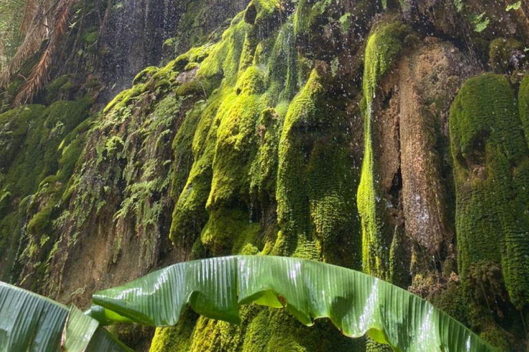 Escursione privata di un giorno a Wadi Tiwi, Fins Beach e Bimmah SinkholeEscursione di un giorno a Wadi Tiwi, Fins Beach e Bimmah Sinkhole