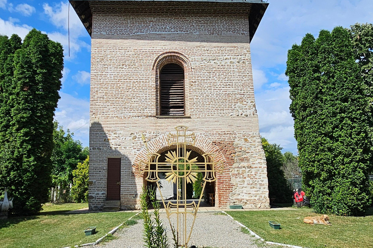 Bucharest: Salt Mine & Dracula's Tomb Day Trip